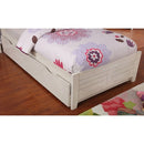 Bed Brogan
