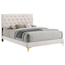 Kendall Upholstered Panel Bed