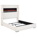 Tisdall Beds