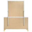 Lucia Dresser with Mirror