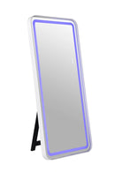 Katlyn Floor Mirror