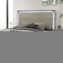 Rainier Queen Bedroom Set Gray