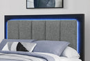 EMMA BLACK/GREY KING BED GROUP