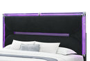 Lando Black Bed with Continuous LED